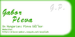 gabor pleva business card